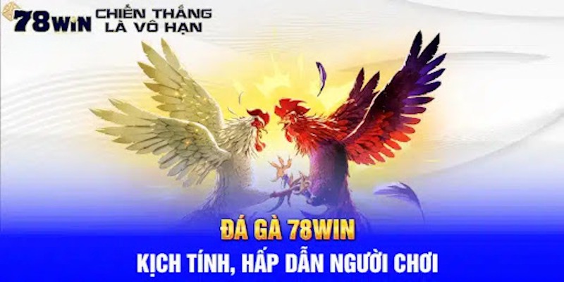 Hướng dẫn chơi đá gà 78WIN chi tiết từng bước